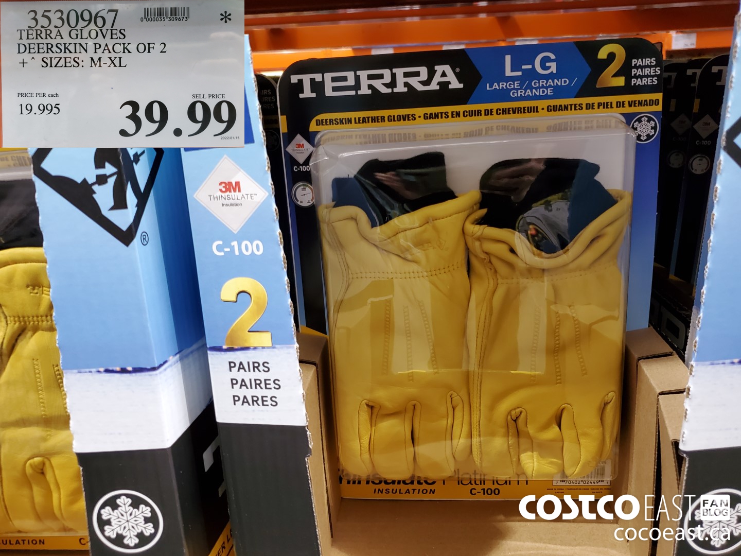 3530967 TERRA GLOVES DEERSKIN PACK OF 2 SIZES: M-XL $39.99