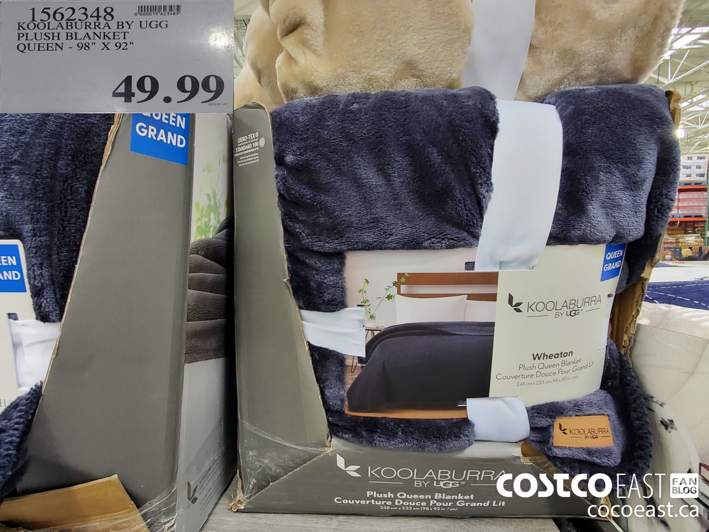 1562348 KOOLABURRA BY UGG PLUSH BLANKET QUEEN = 98