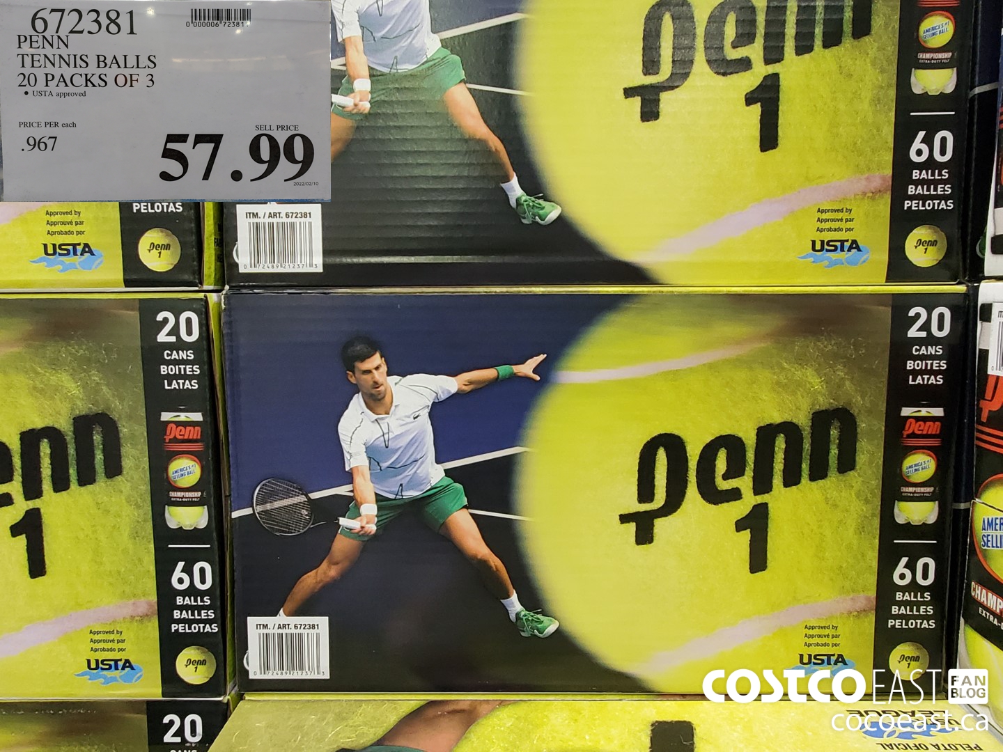 672381 PENN TENNIS BALLS 20 PACKS OF 3 $57.99