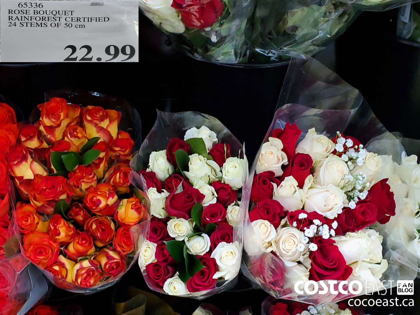 65336 ROSE BOUQUET RAINFOREST CERTIFIED 24 STEMS OF 50 CM $22.99