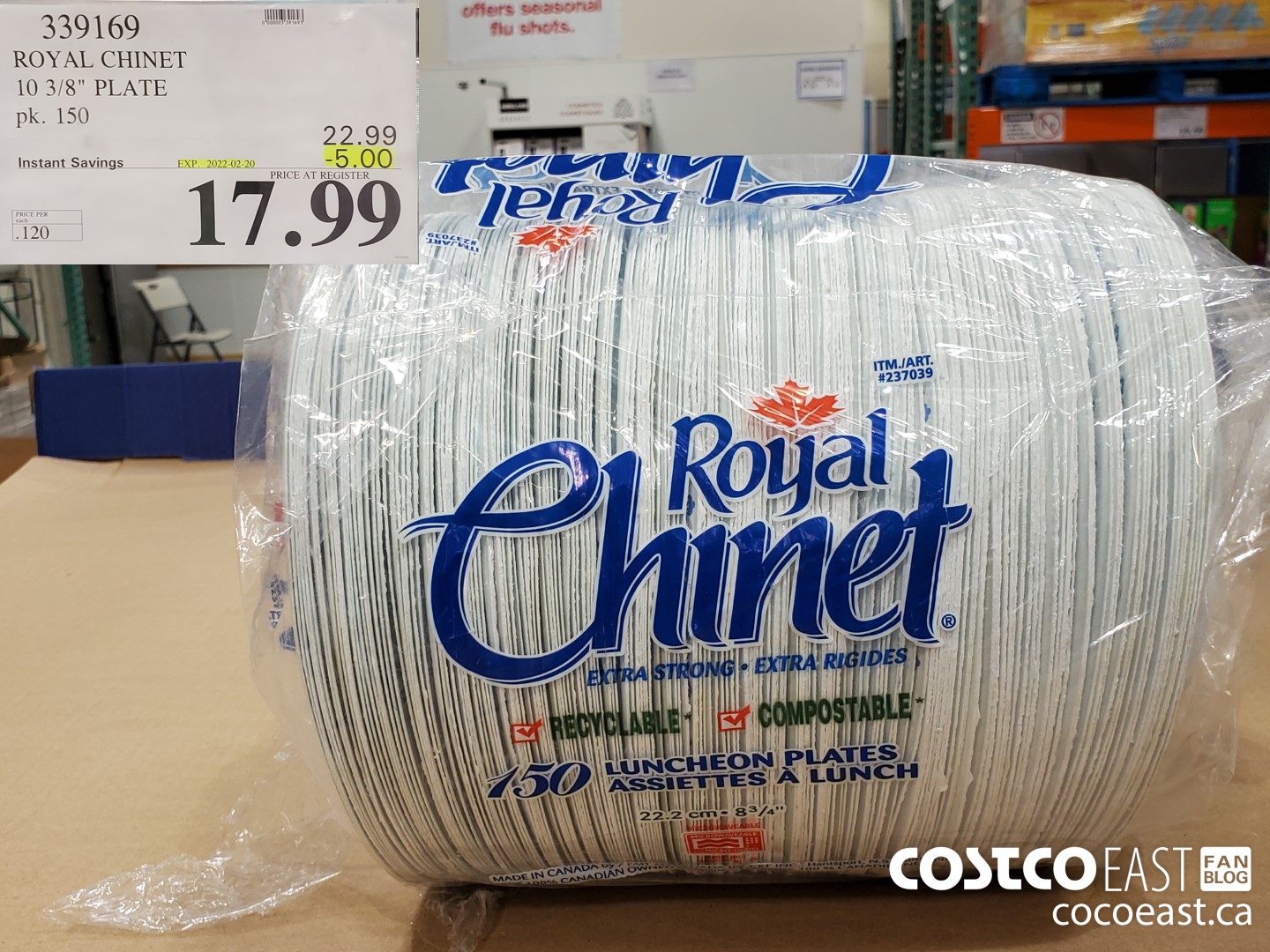339169 ROYAL CHINET 10 3/8