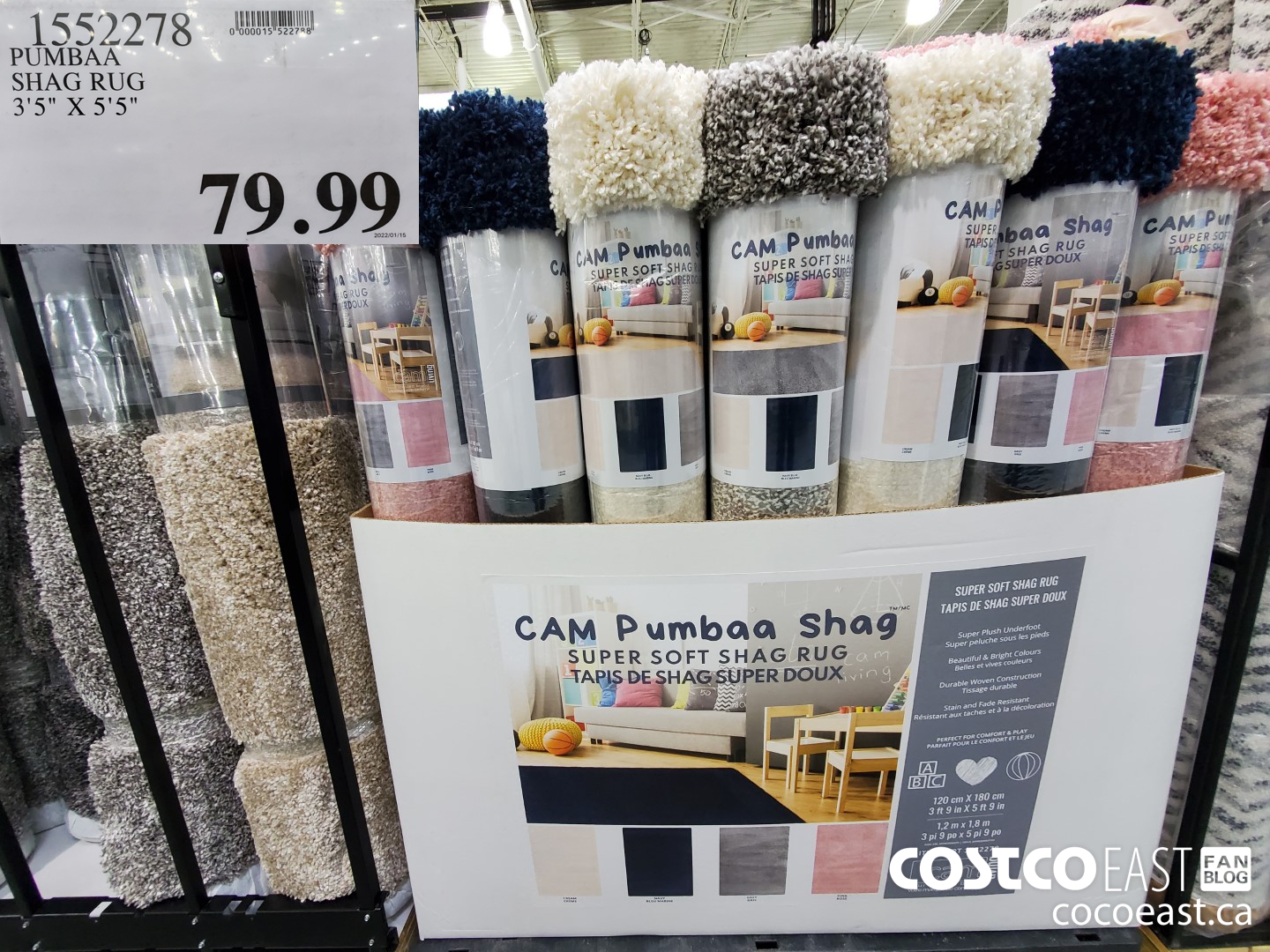 1552278 SHAG RUG 3'5