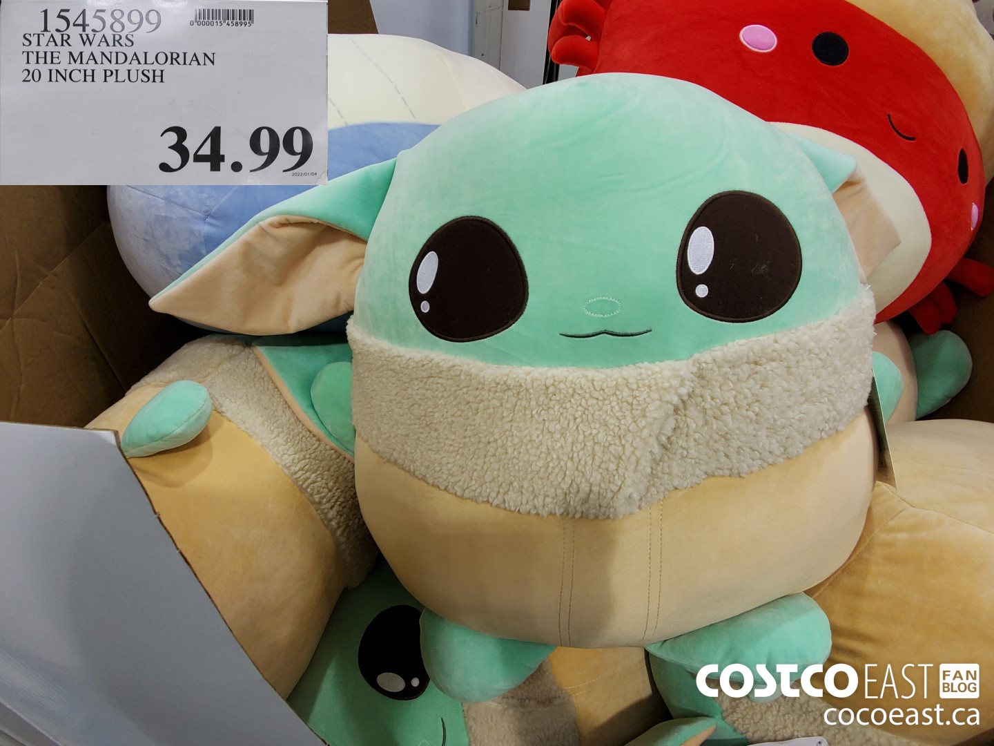 1545899 STAR WARS THE MANDALORIAN 20 INCH PLUSH $34.99