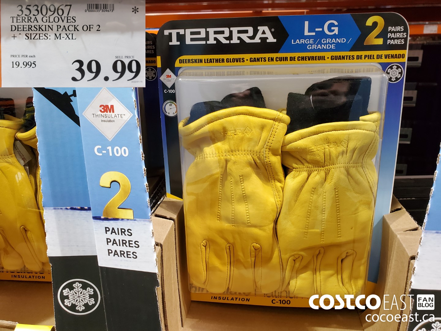 3530967 TERRA GLOVES DEERSKIN PACK OF 2 SIZES: M-XL $39.99