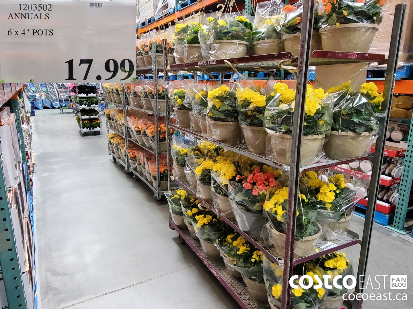 Costco Summer 2022 Superpost – The Entire Clothing Section! - Costco West  Fan Blog