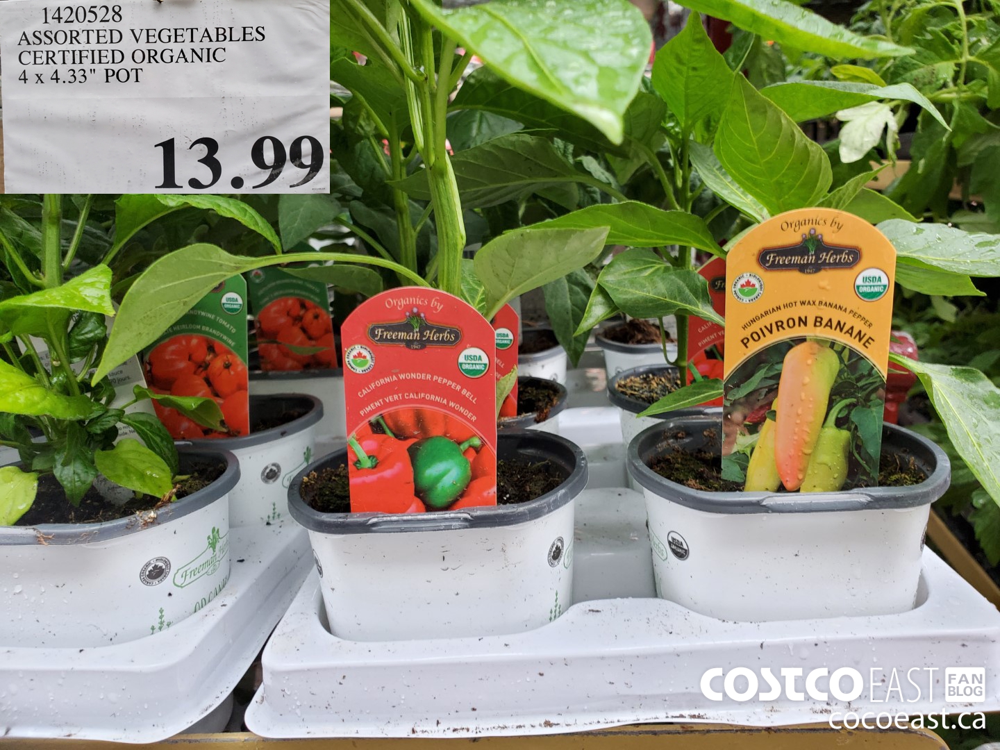 1420528 ASSORTED VEGETABLES CERTIFIED ORGANIC 4 X 4.33