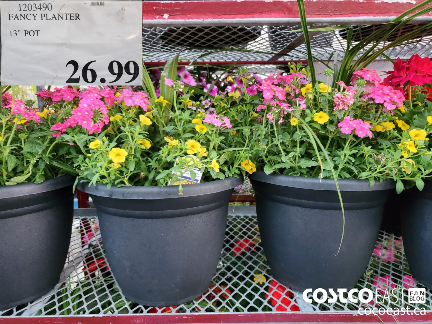 Costco East May 18th 2022 Superpost: The Entire Garden Center! - Costco  East Fan Blog