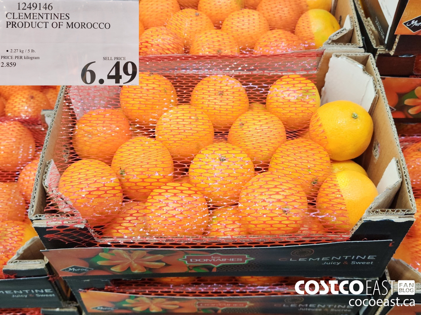 1249146 CLEMENTINES PRODUCT OF MOROCCO $6.49