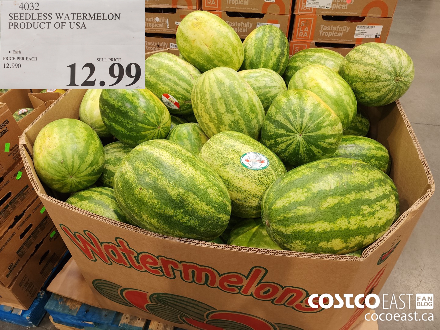 Costco East Fruits Vegetables Super Post Nov 16th 2022 Ontario   SEEDLESS WATERMELON PRODUCT OF USA 20221116 64722 