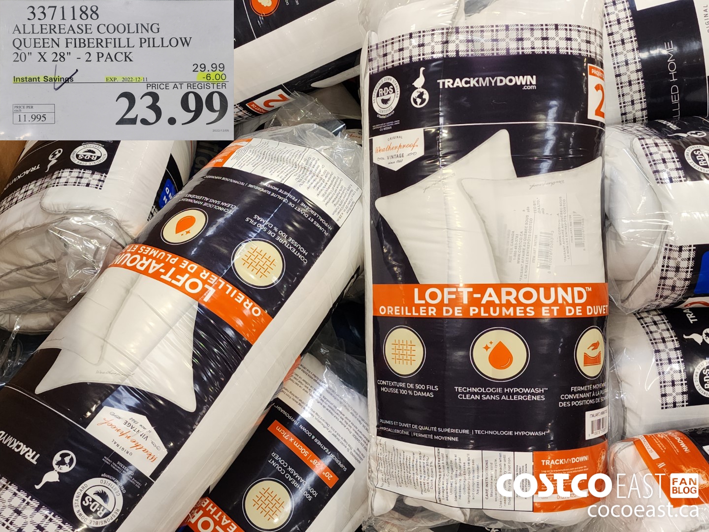 3371188 ALLEREASE COOLING QUEEN FIBERFILL PILLOW 20