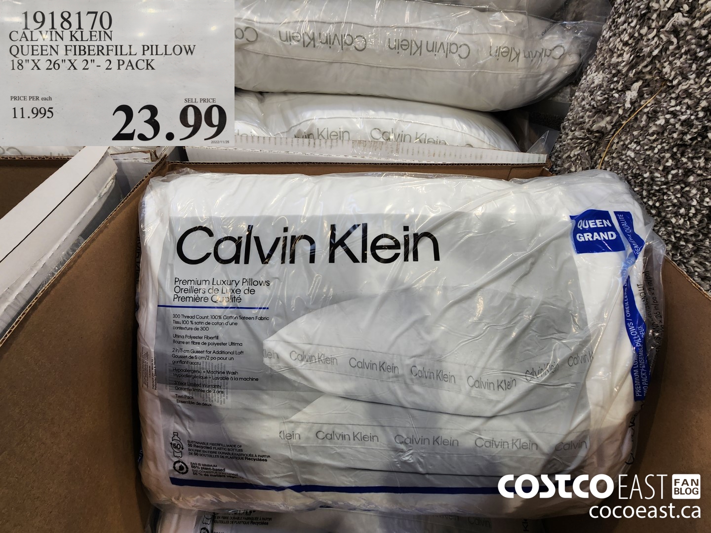 1918170 CALVIN KLEIN QUEEN FIBERFILL PILLOW 18