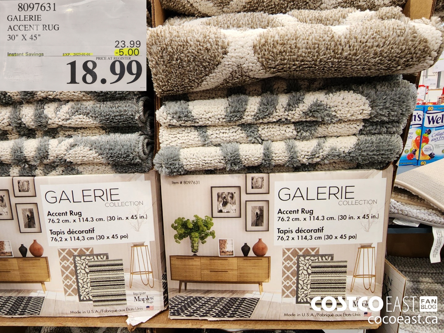 8097631 GALERIE ACCENT RUG 30