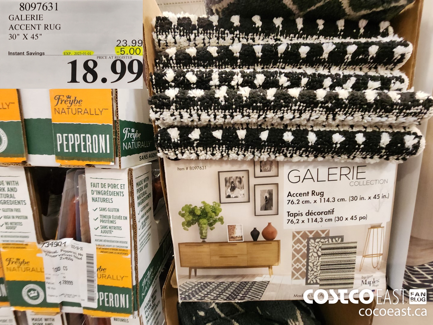 8097631 GALERIE ACCENT RUG 30