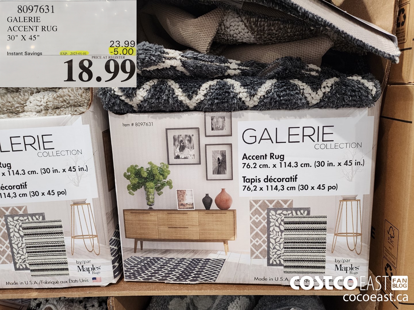 8097631 GALERIE ACCENT RUG 30