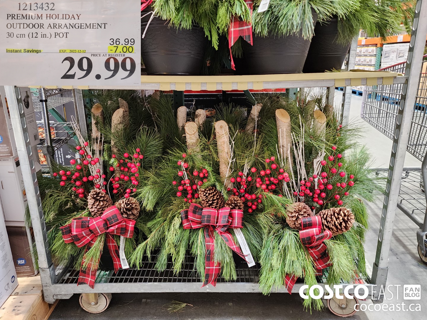 1213432 PREMIUM HOLIDAY OUTDOOR ARRANGEMENT 30 CM (12 IN.) POT ($7.00 INSTANT SAVINGS EXPIRES ON 2022-12-12) $29.99