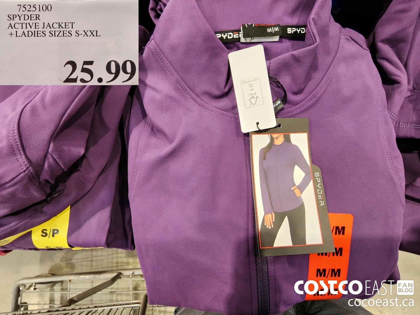 Costco weekend Sales Dec 30th 2022 - Jan 1st 2023 – Ontario, Quebec &  Atlantic Canada - Costco East Fan Blog