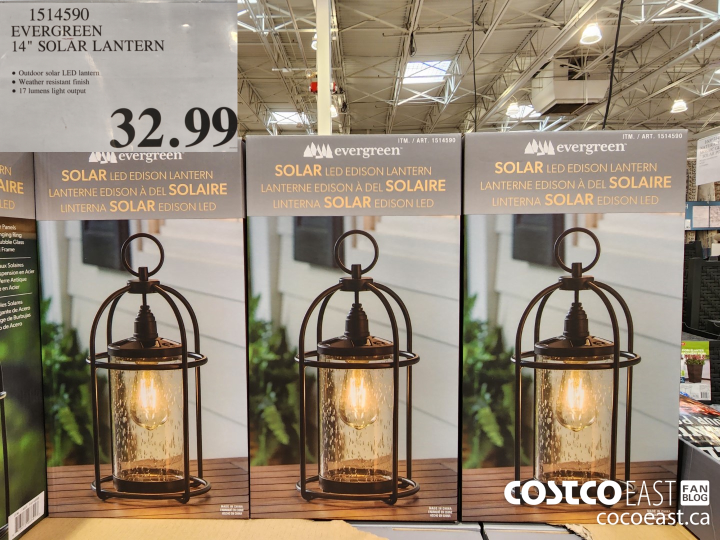 1514590 EVERGREEN 14