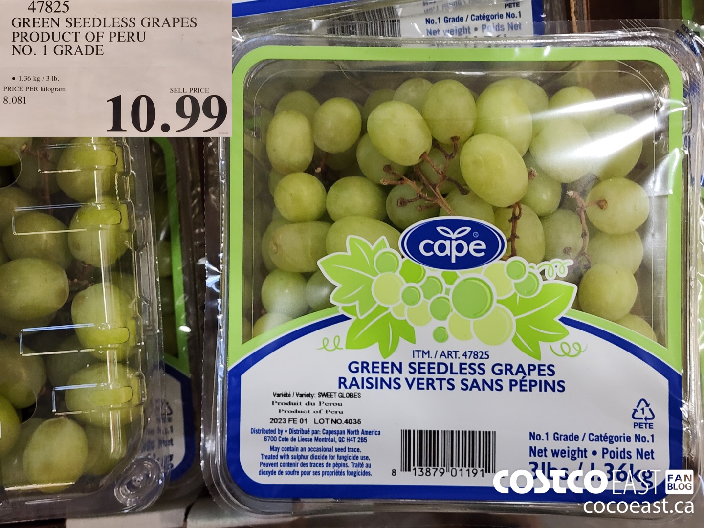 47825 GREEN SEEDLESS GRAPES PRODUCT OF PERU NO. 1 GRADE $10.99