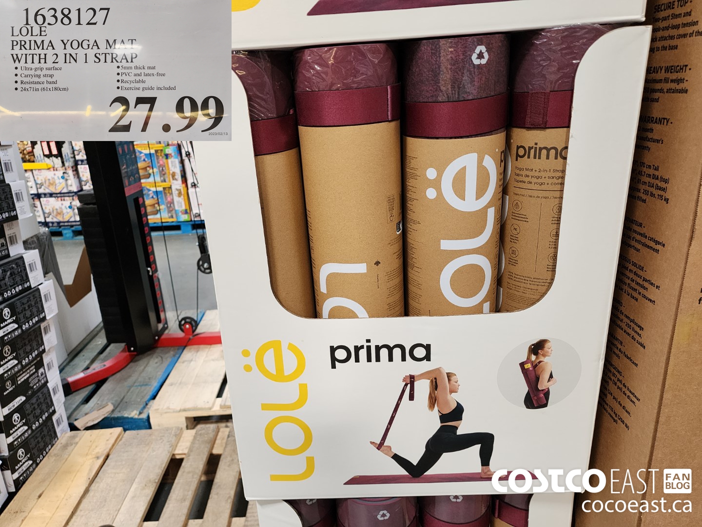 Costco] Lole Prima Yoga Mat $19.99 - RedFlagDeals.com Forums