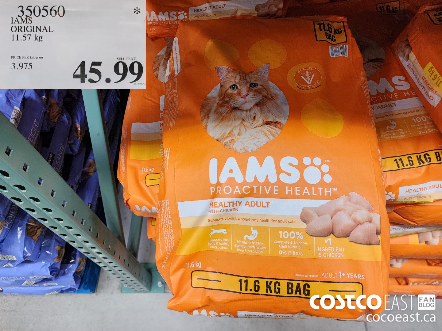 Costco iams cat clearance food