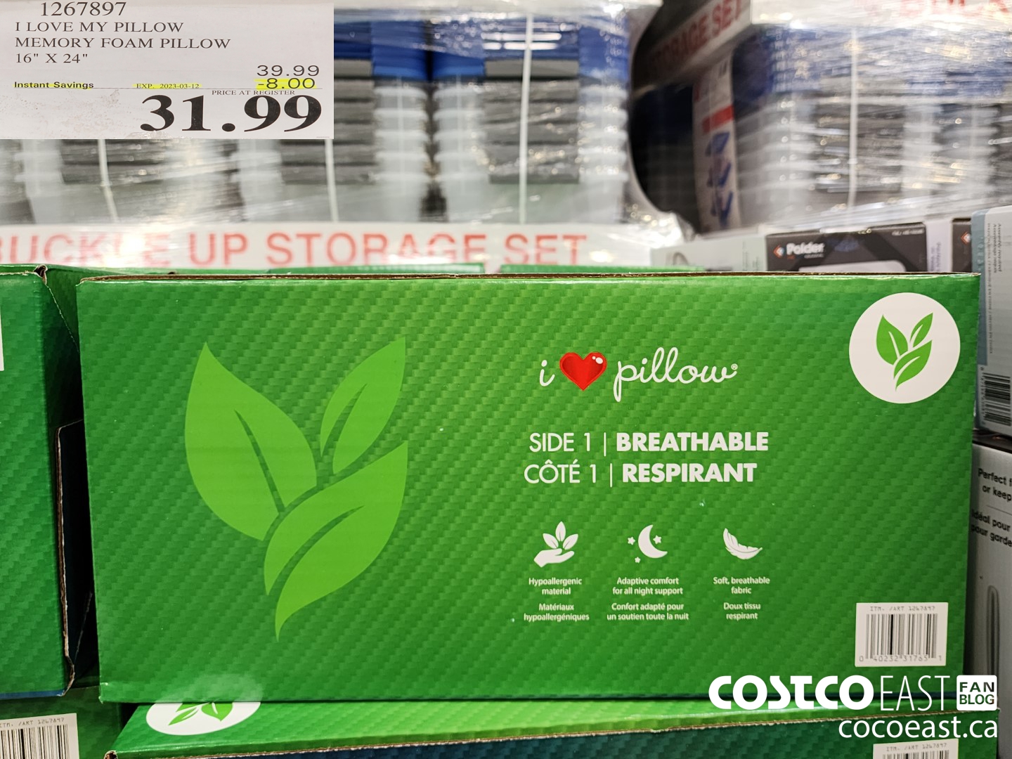 Costco my 2025 pillow price