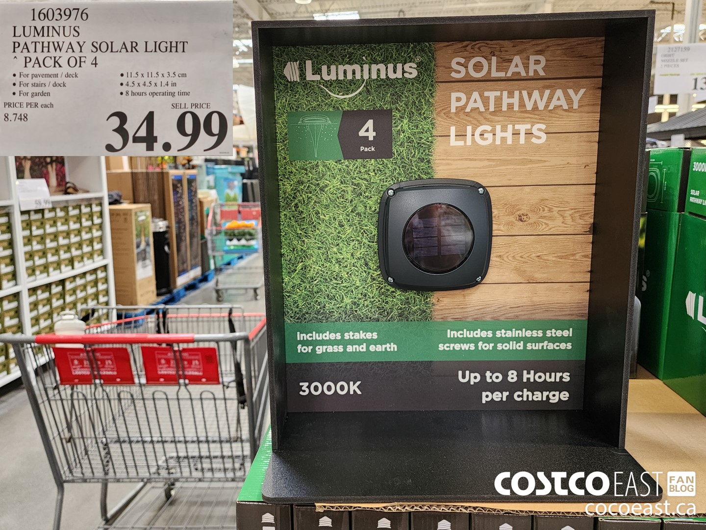 Costco Weekend Sales May 26th 28th 2023 Ontario Atlantic Canada   LUMINUS PATHWAY SOLAR LIGHT  PACK OF 4 20230526 77499 