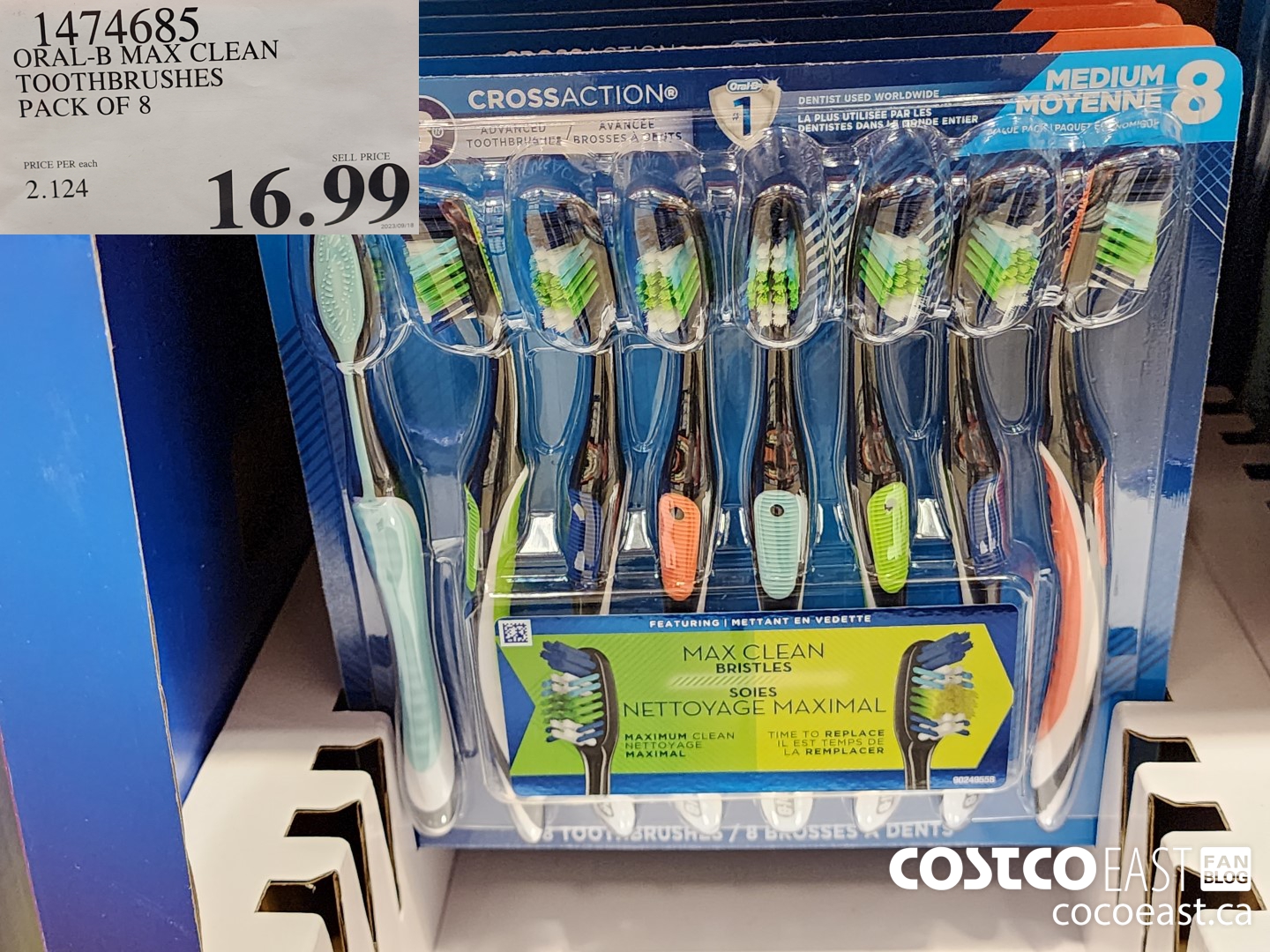 1474685 ORAL-B MAX CLEAN TOOTHBRUSHES PACK OF 8 $16.99