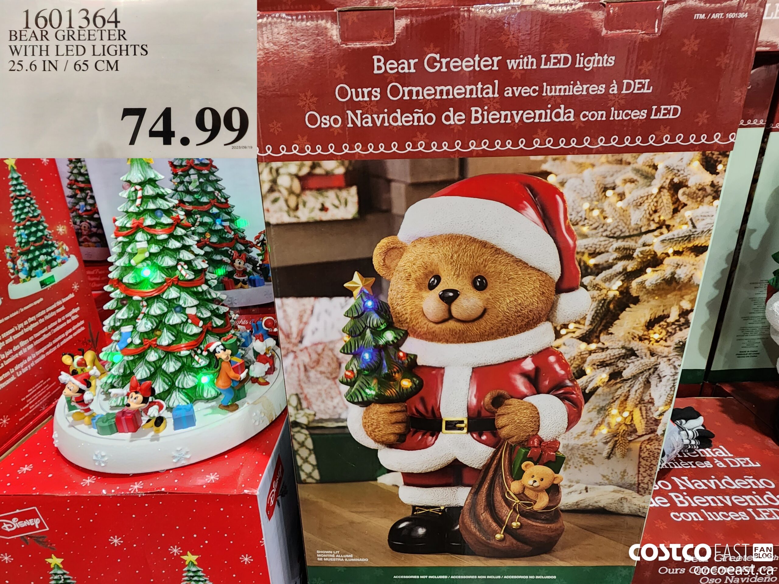 1601364 BEAR GREETER 25.6 IN / 65 CM WITH LED LIGHTS $74.99