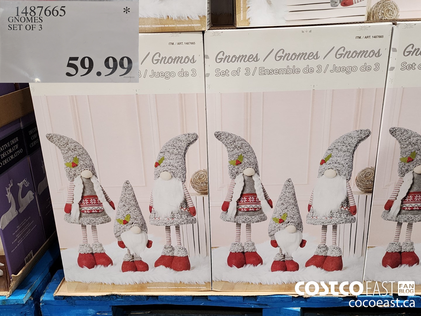 1487665 GNOMES SET OF 3 $59.99