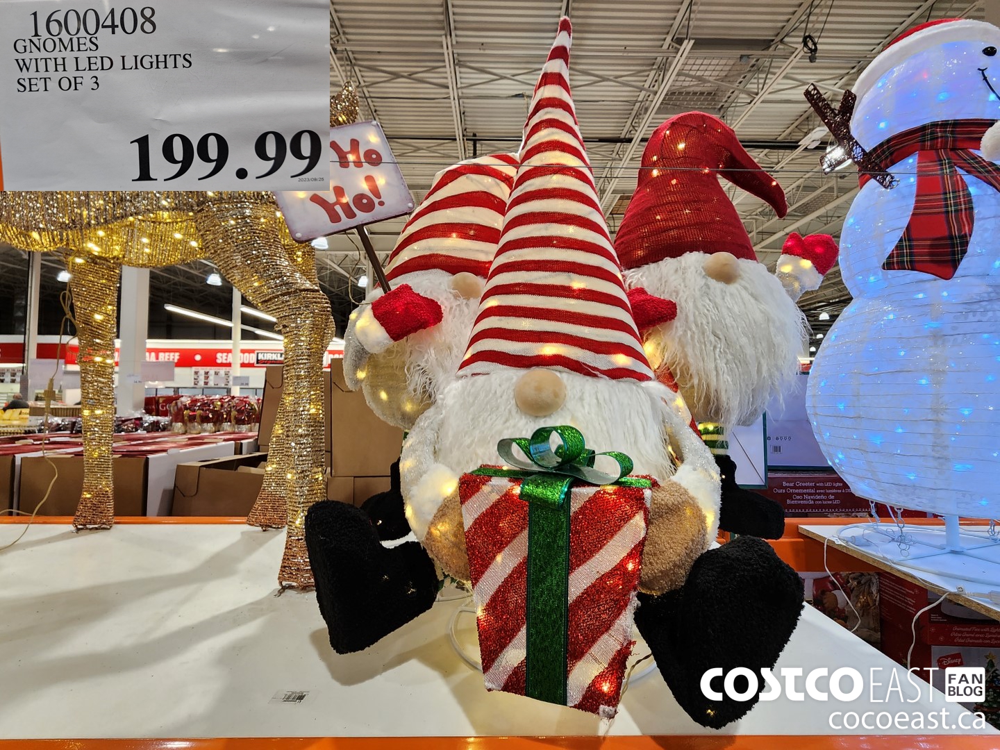 1600408 GNOMES WITH LED LIGHTS SET OF 3 $199.99