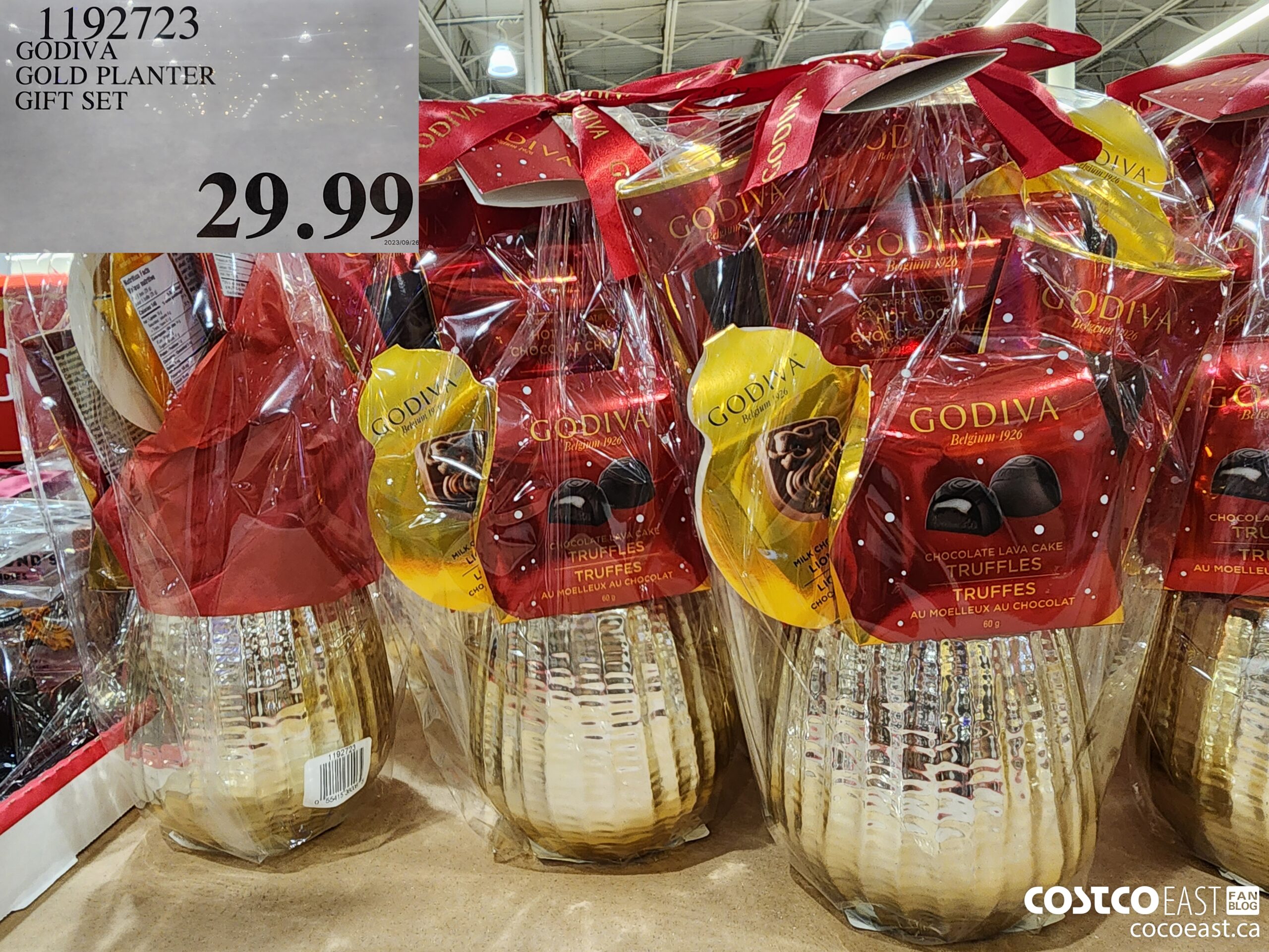 1192723 GOLD GOLD PLANTER GIFT SET $29.99