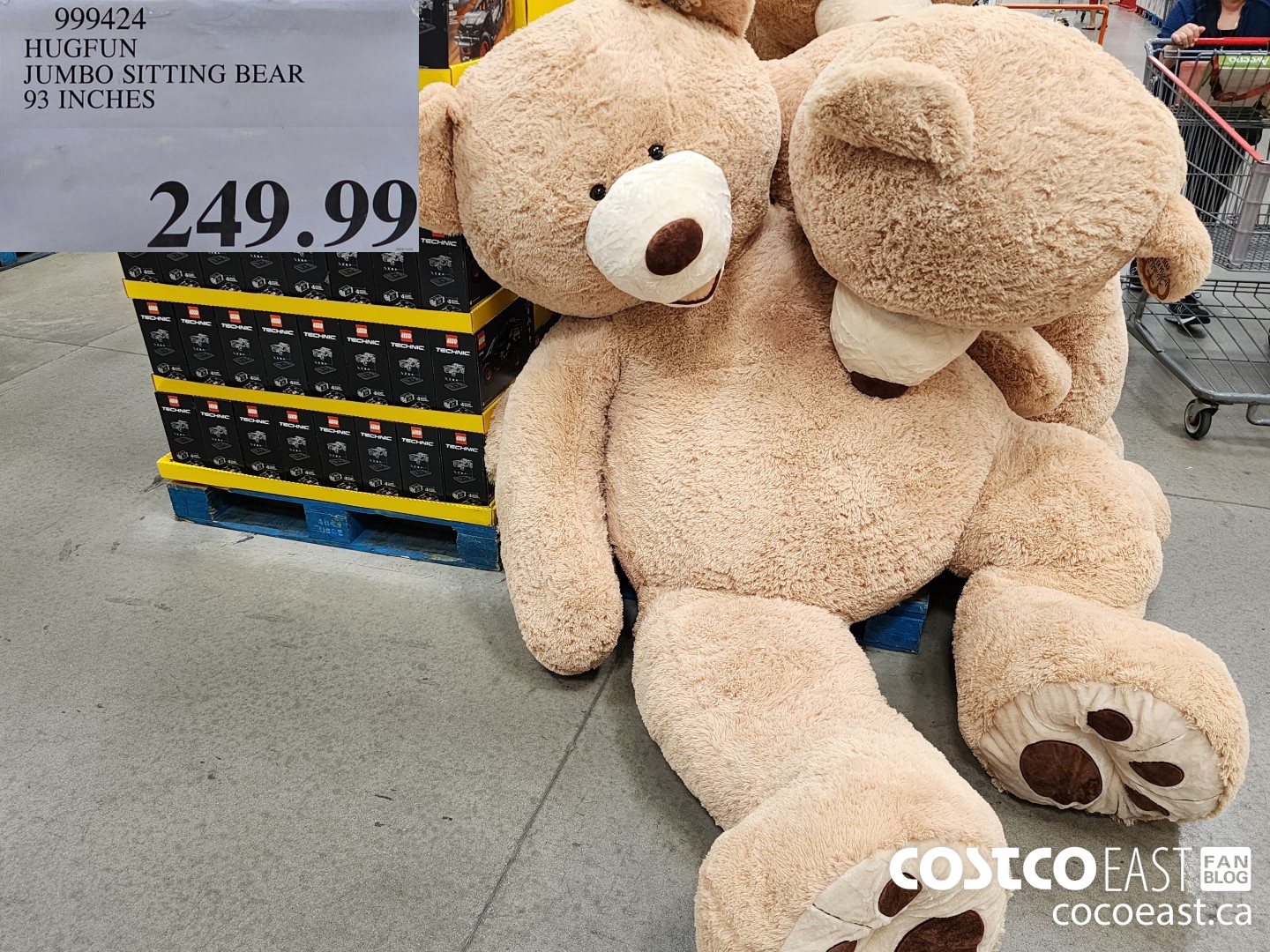 Costco teddy cheap bear price