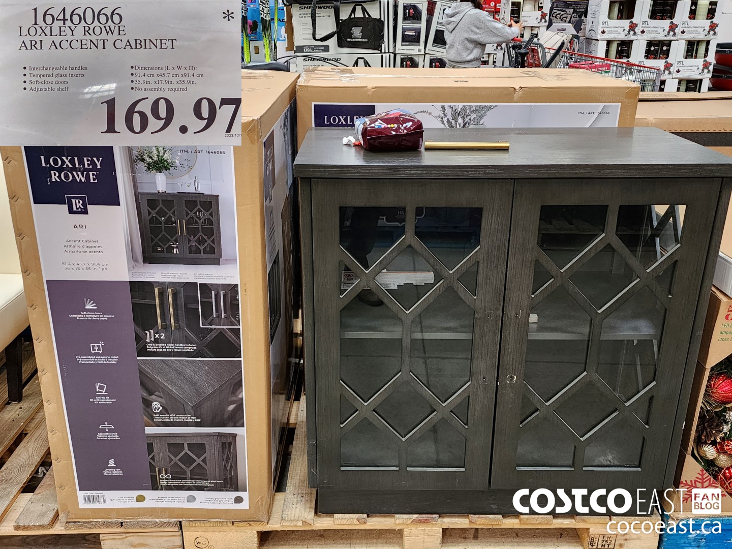 1646066 LOXLEY ROWE ARI ACCENT CABINET $169.97