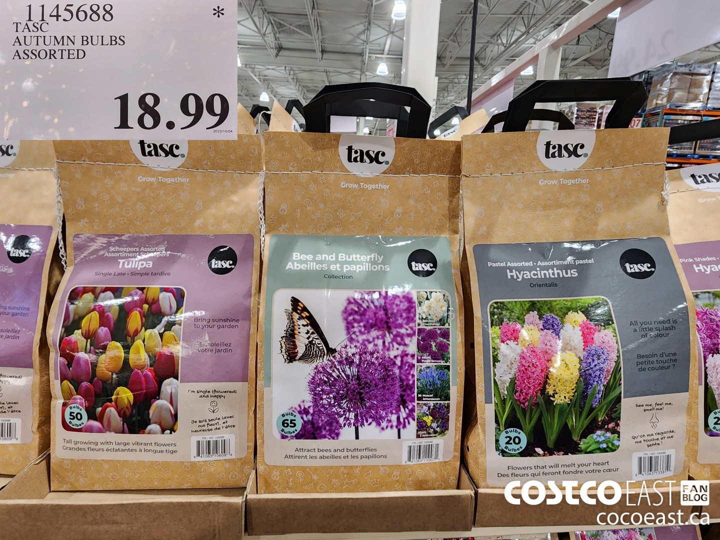 1145688 TASC AUTUMN BULBS ASSORTED $18.99