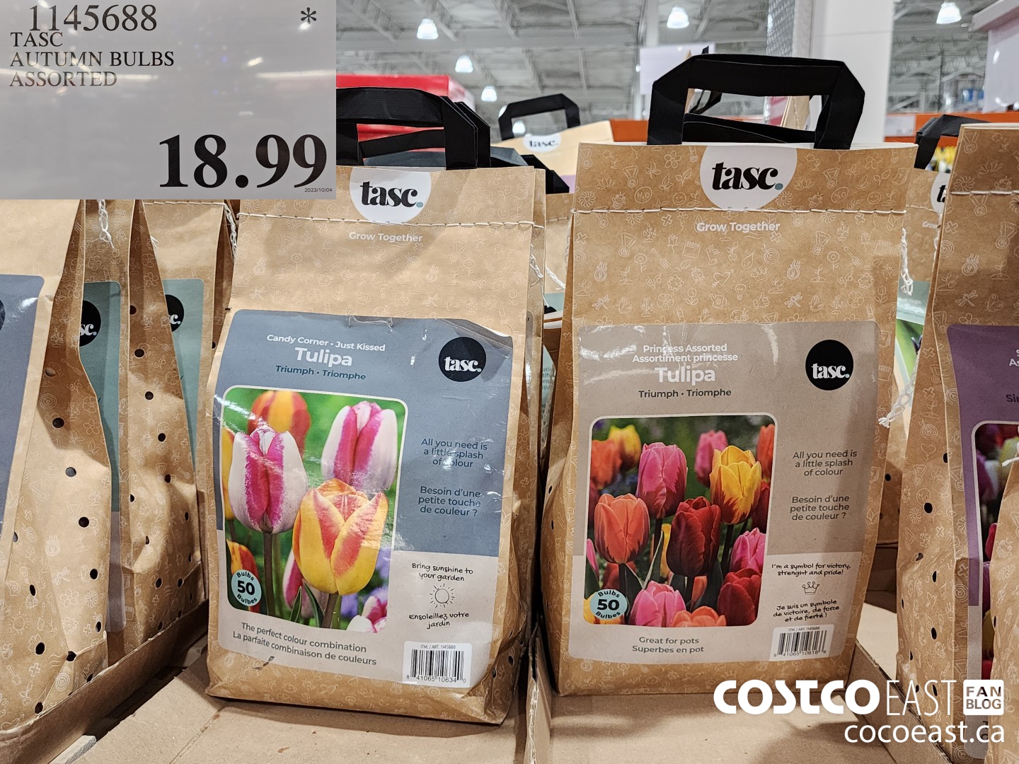 1145688 TASC AUTUMN BULBS ASSORTED $18.99