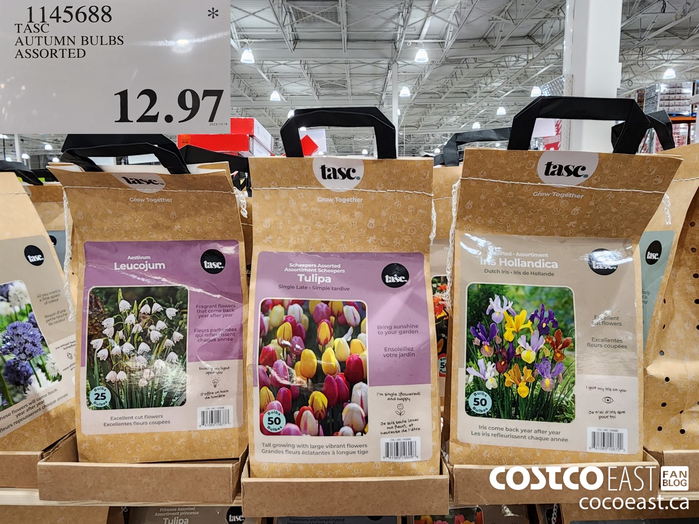 1145688 TASC AUTUMN BULBS ASSORTED $12.97