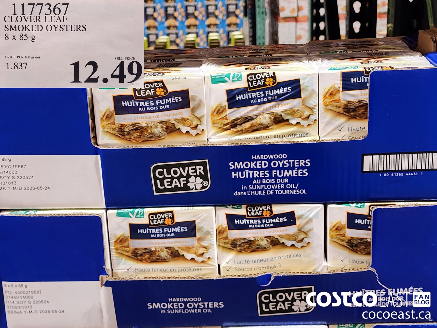 1177367 CLOVER LEAF SMOKED OYSTERS 8 X 85 G $12.49