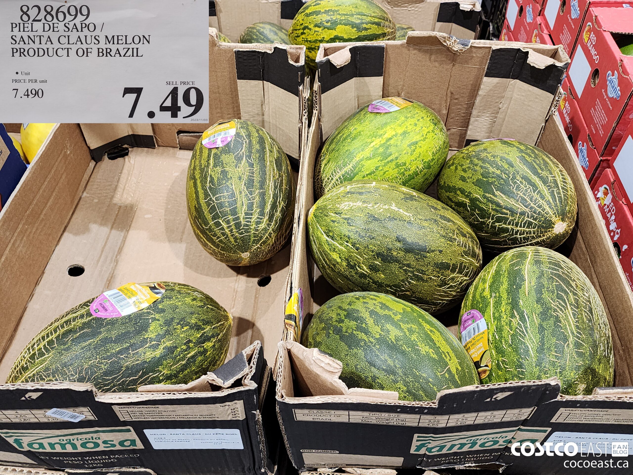 828699 PIEL DE SAPO / SANTA CLAUS MELON PRODUCT OF BRAZIL $7.49