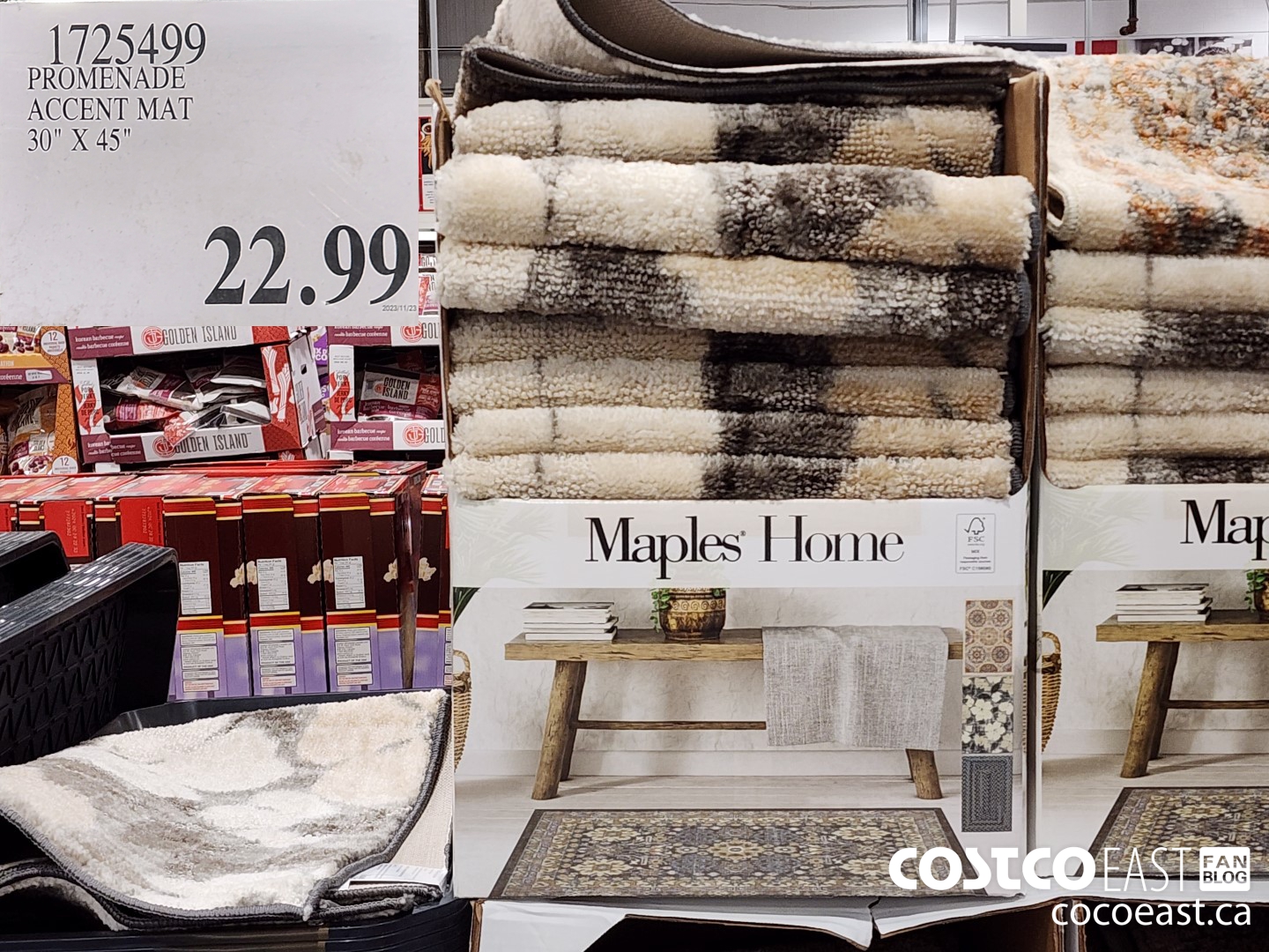 1725499 PROMENADE ACCENT MAT 30