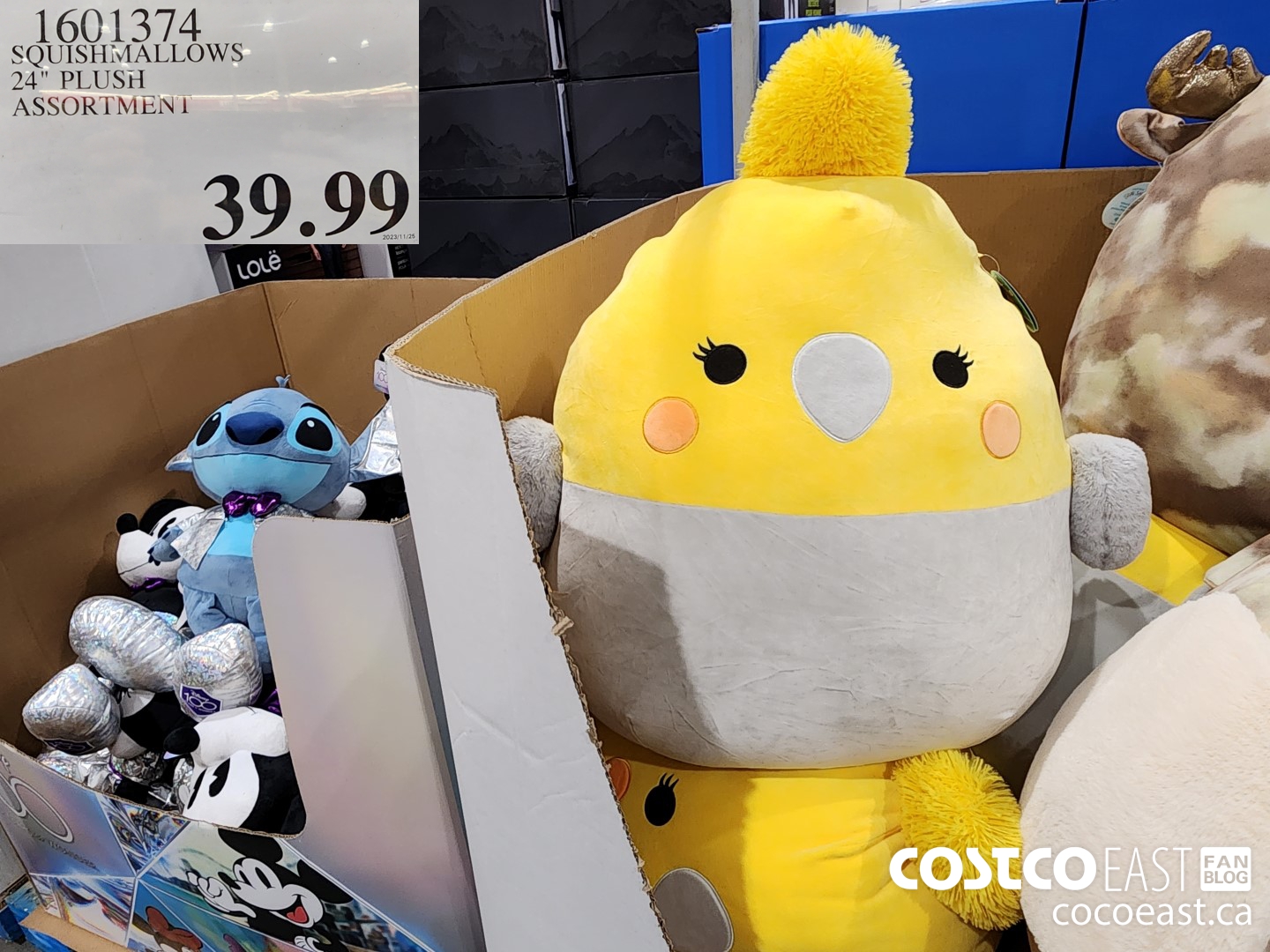 1601374 SQUISHMALLOWS 24