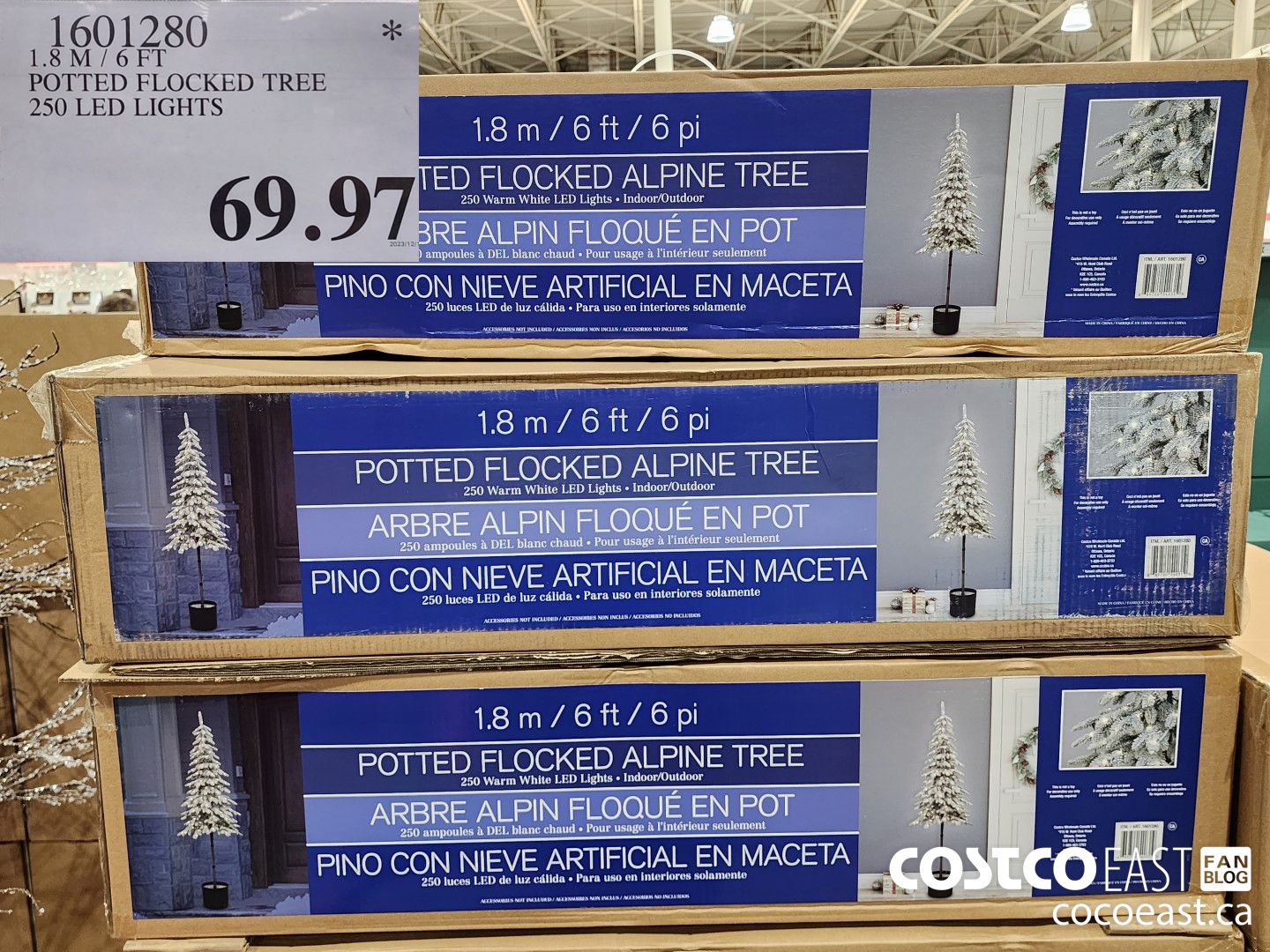1601280 1.8M/6FT POTTED FLOCKED TREE 250 LED LIGHTS $69.97