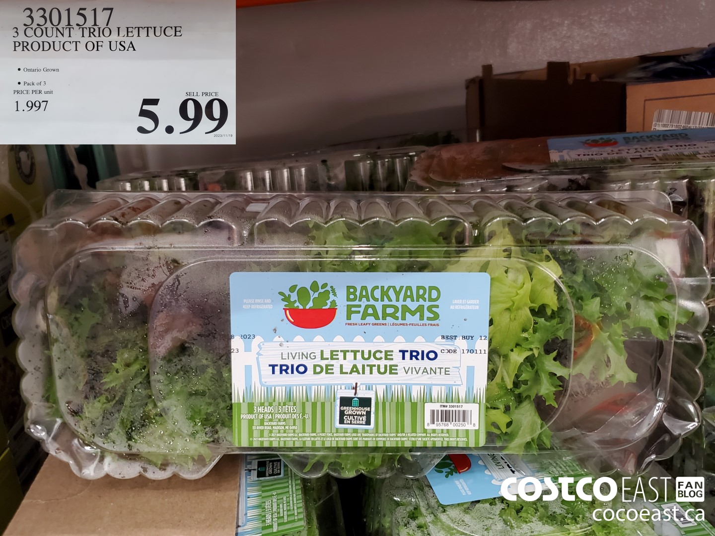 3301517 3 COUNT TRIO LETTUCE PRODUCT OF USA $5.99