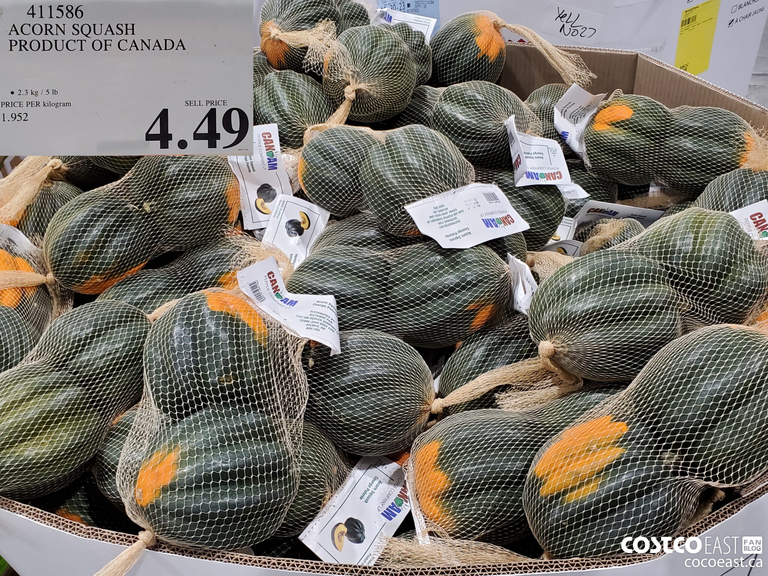 411586 ACORN SQUASH PRODUCT OF CANADA $4.49