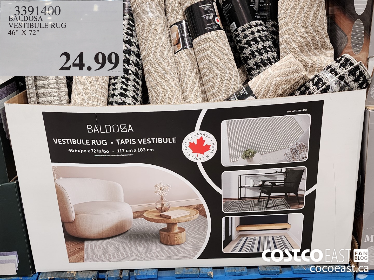 3391400 BALDOSA VESTIBULE RUG 46