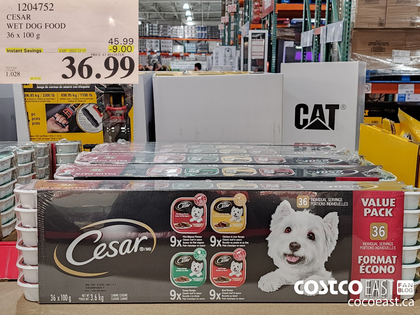 1204752 CESAR WET DOG FOOD 36 x 100 g ($9.00 INSTANT SAVINGS EXPIRES ON 2023-12-17) $36.99