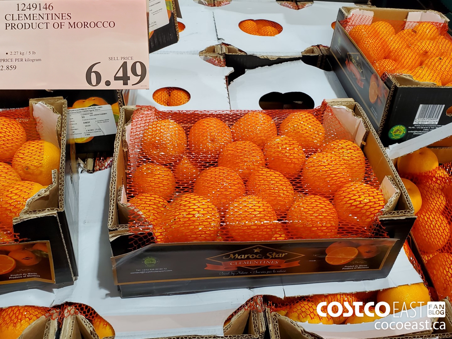1249146 CLEMENTINES PRODUCT OF MOROCCO $6.49