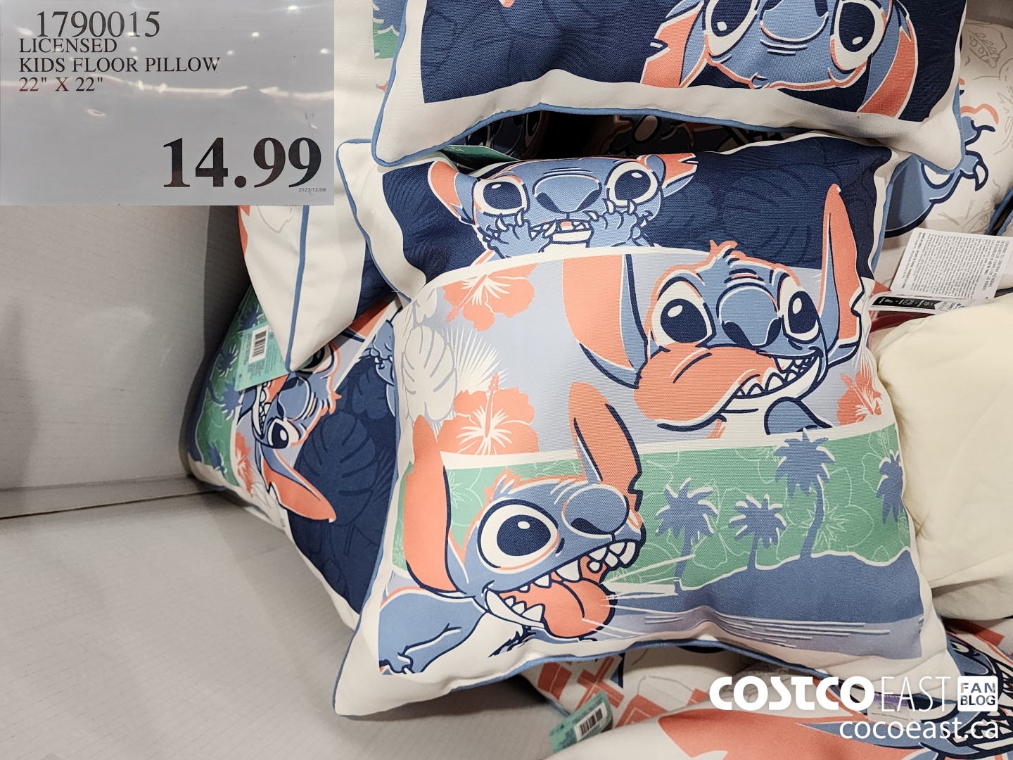 1790015 LICENSED KIDS FLOOR PILLOW 22