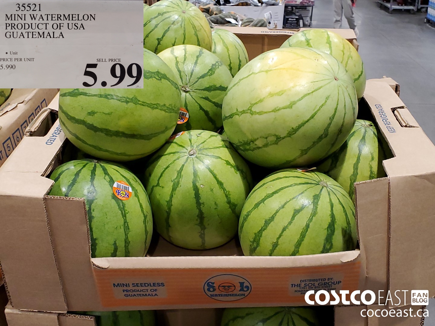 35521 MINI WATERMELON PRODUCT OF USA GUATEMALA $5.99