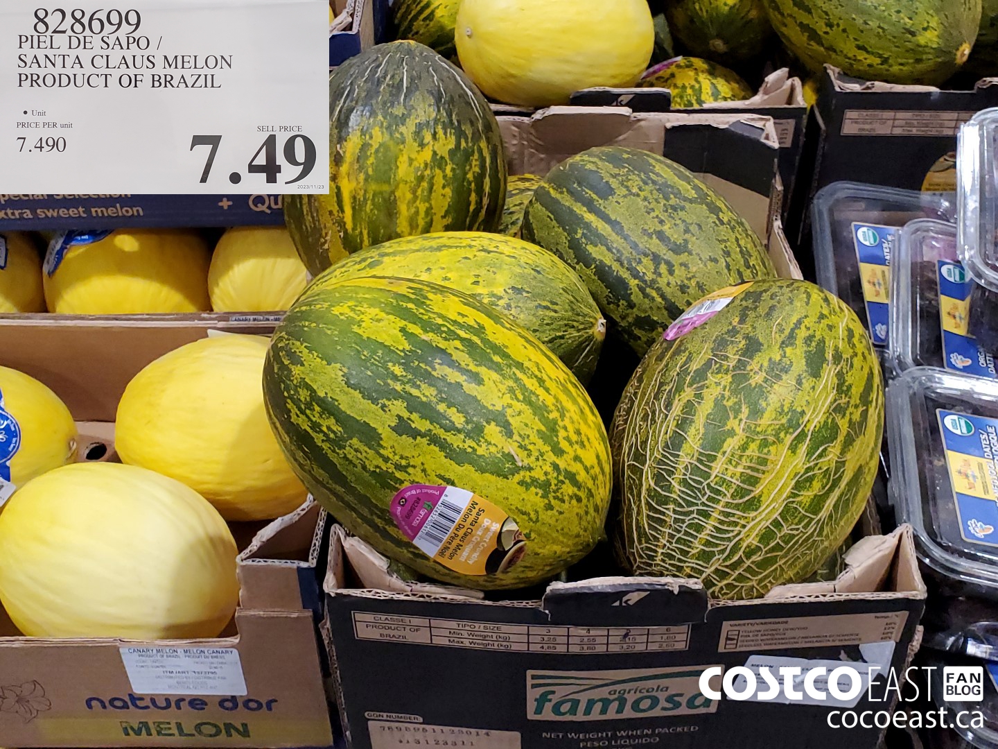 828699 PIEL DE SAPO / SANTA CLAUS MELON PRODUCT OF BRAZIL $7.49