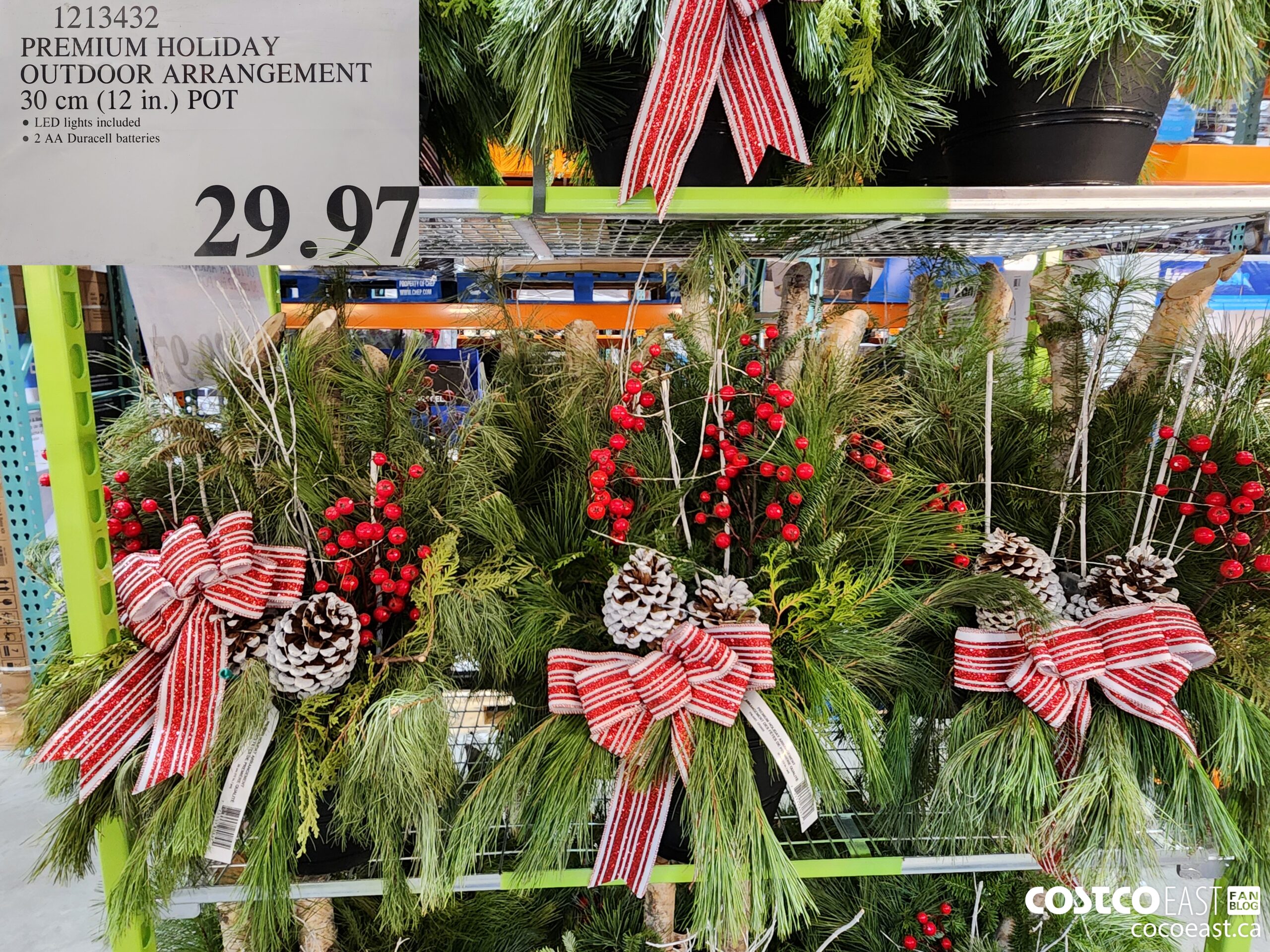 1213432 PREMIUM HOLIDAY OUTDOOR ARRANGEMENT 30 CM (12 IN.) POT $29.97